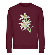 Lade das Bild in den Galerie-Viewer, Burgundy-839